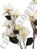 Haste de Bougainville Branco Envelhecido 0166-1-4