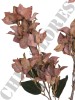 Haste de Bougainville Marrom Envelhecido 0166-1-6