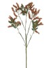 Haste de Rumex 0371-47