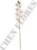 Haste de Orquídea Cymbidium Branca 3D 0371-71-2