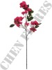 Haste de Bougainville Pink 0863-108-4