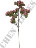 Haste de Bougainville Rosa Envelhecido 0863-95-3