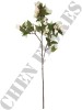 Haste de Bougainville Branco 0863-95