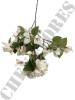 Haste de Bougainville Branco 0863-95