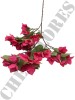 Haste de Bougainville Pink 0863-95-1