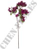 Haste de Bougainville Roxo 0863-95-2