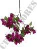 Haste de Bougainville Roxo 0863-95-2