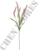 Haste de Veronicastrum A9406